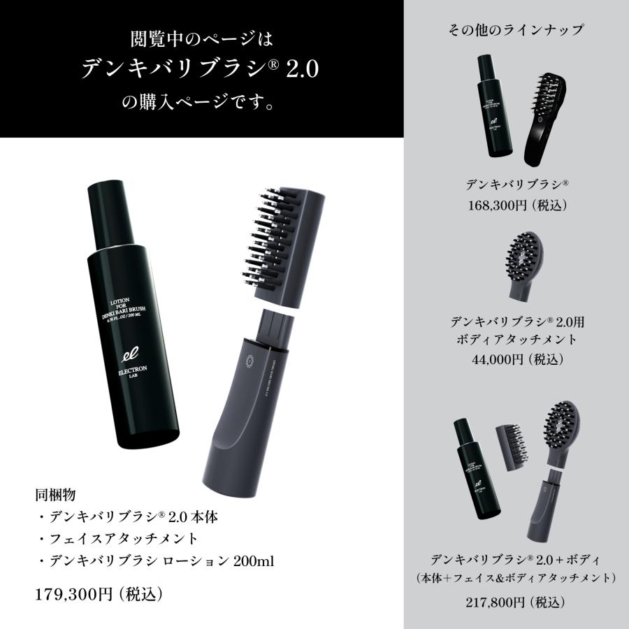 ELECTRON（エレクトロン） エレクトロン公式 デンキバリブラシ (R) 2.0